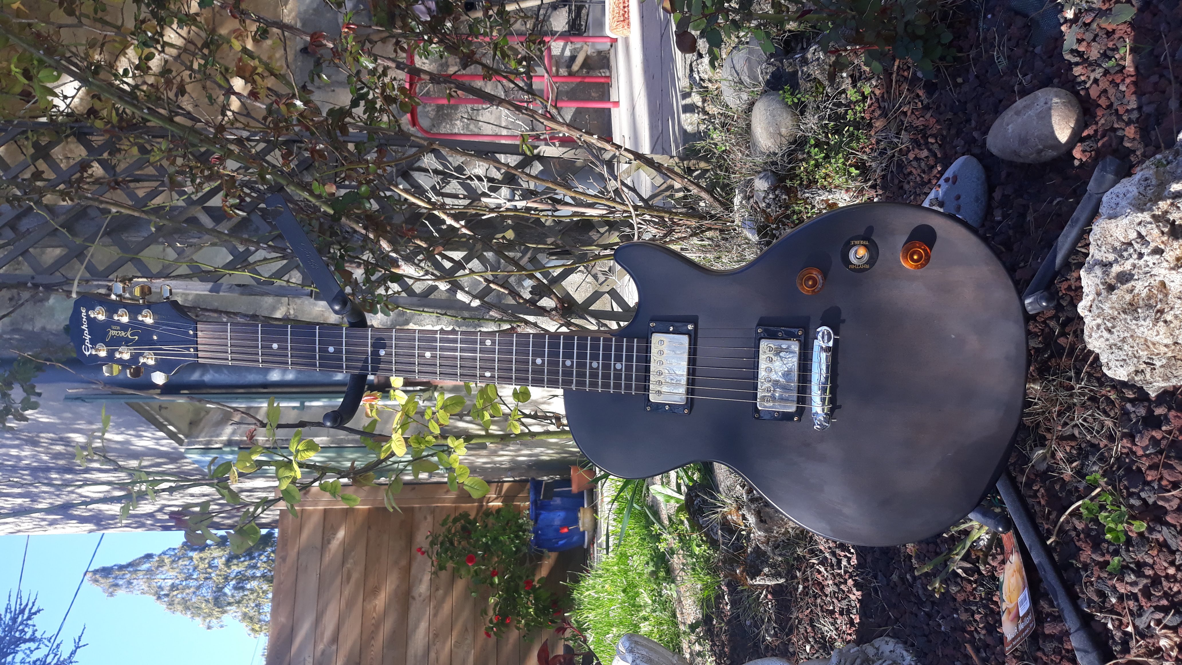 Epiphone Les Paul Special Model